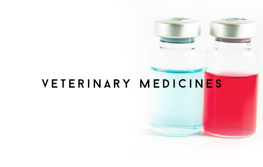 Course Image Supporting the supply of veterinary medicines