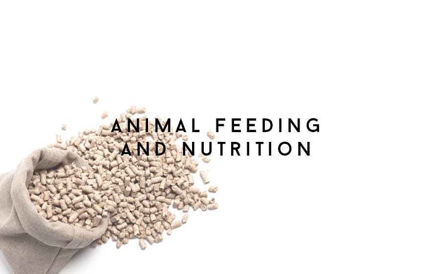 Course Image Animal feeding and nutrition