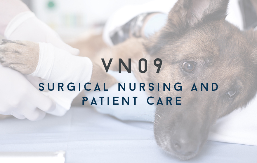 Course Image VN09 Surgical Nursing and Patient Care 