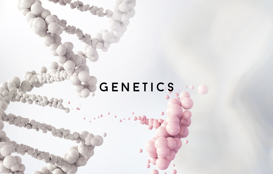 Course Image Genetics