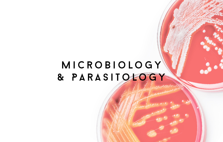 Course Image Microbiology and Parasitology