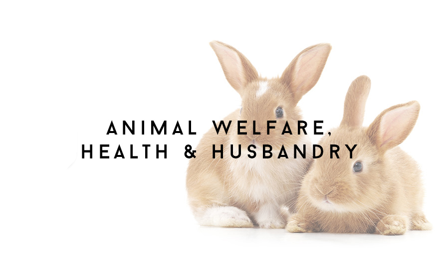 Course Image Applied animal welfare, health and husbandry for veterinary nurses