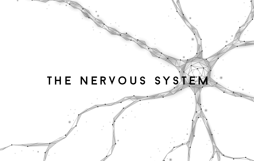 Course Image The Nervous System - Lucy