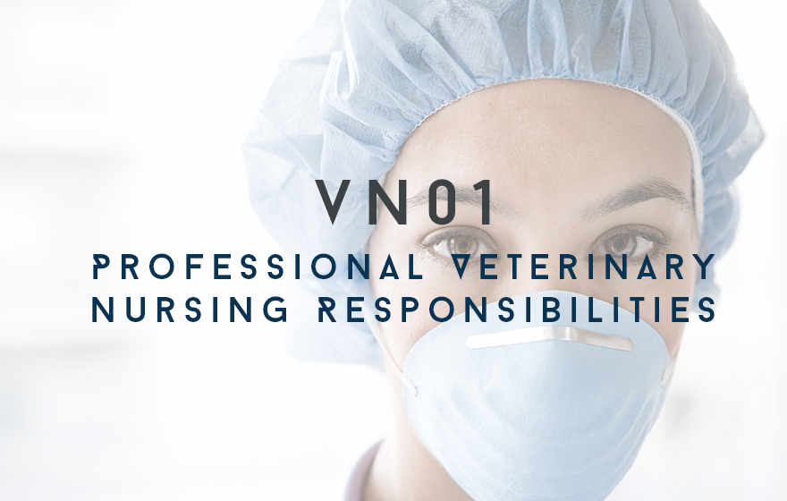Course Image LEGACY - VN01 Professional Veterinary Nursing Responsibilities [Legacy] -