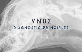 Course Image VTEC VN02 - Diagnostic Principles COPY