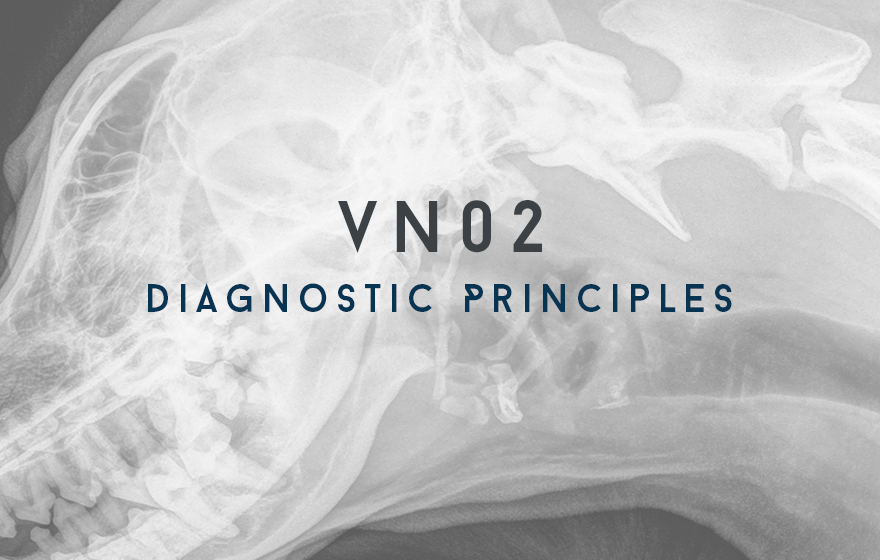 Course Image VN02 Diagnostic Principles copy 1